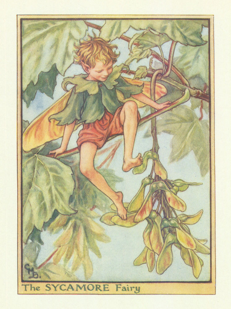 Sycamore Fairy by Cicely Mary Barker. Flower Fairies of the Trees c1940 print