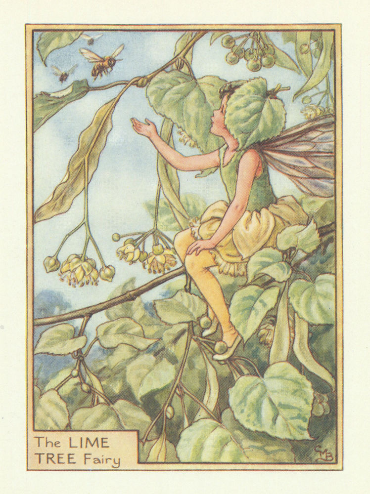 Associate Product Lime Tree Fairy by Cicely Mary Barker. Flower Fairies of the Trees c1940 print