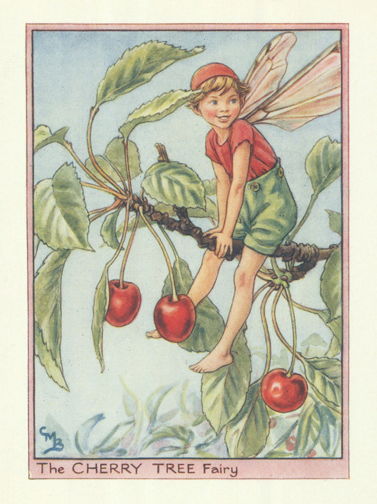 Cherry Tree Fairy by Cicely Mary Barker. Flower Fairies of the Trees c1940