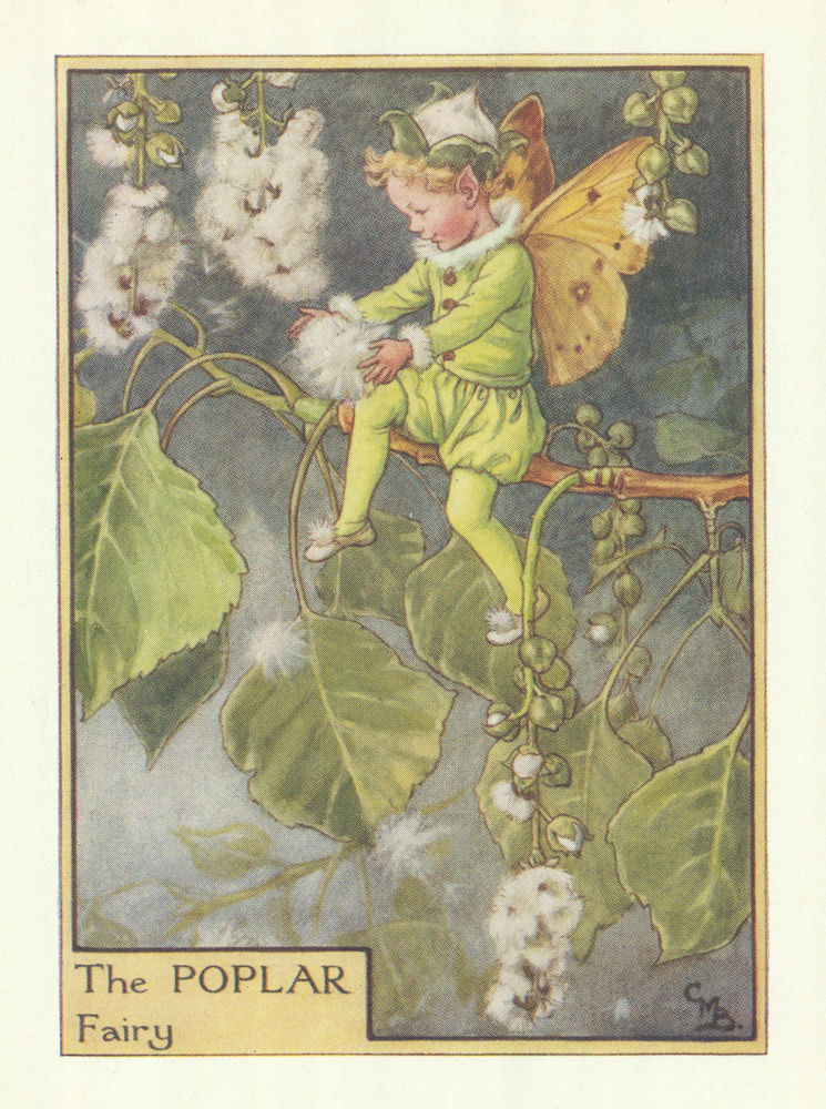 Associate Product Poplar Fairy by Cicely Mary Barker. Flower Fairies of the Trees c1940 print