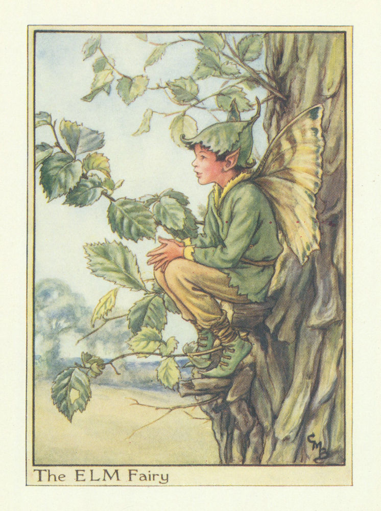 Associate Product Elm Fairy by Cicely Mary Barker. Flower Fairies of the Trees c1940 old print
