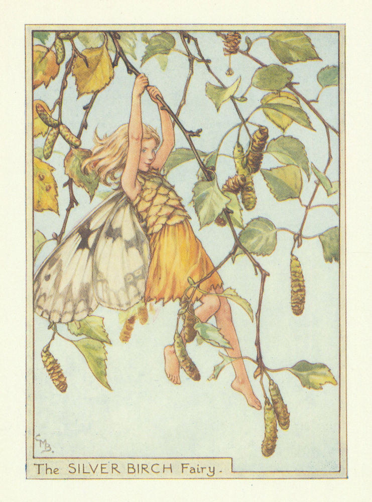 Associate Product Silver Birch Fairy by Cicely Mary Barker. Flower Fairies of the Trees c1940