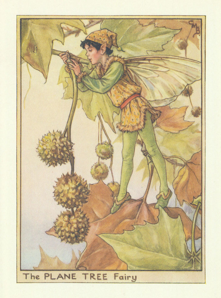 Associate Product Plane Tree Fairy by Cicely Mary Barker. Flower Fairies of the Trees c1940