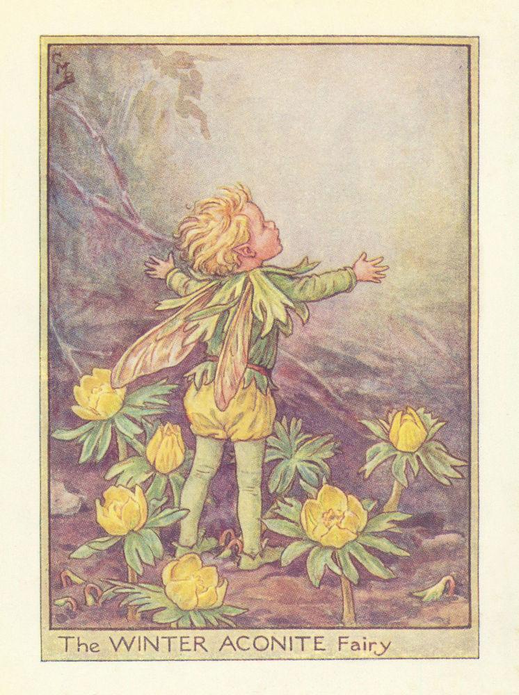 Associate Product Winter Aconite Fairy by Cicely Mary Barker. Flower Fairies of the Garden c1940