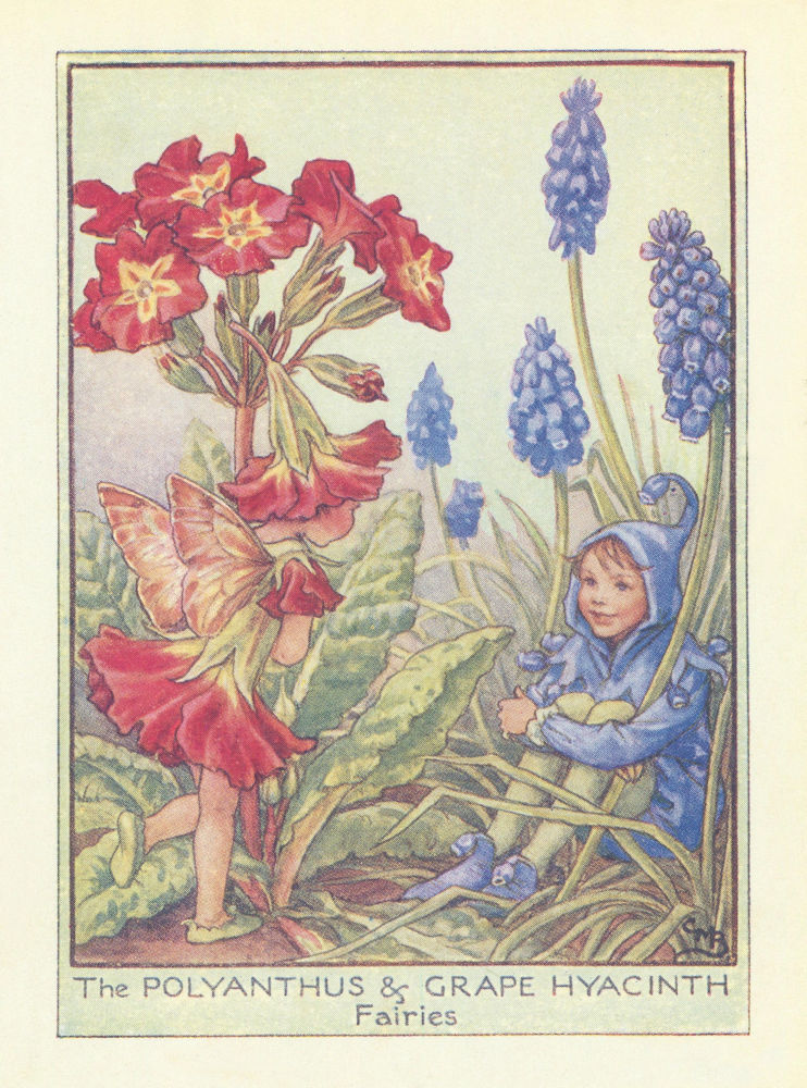 Polyanthus/Grape Hyacinth Fairy. Cicely Mary Barker. Garden Flower Fairies c1940