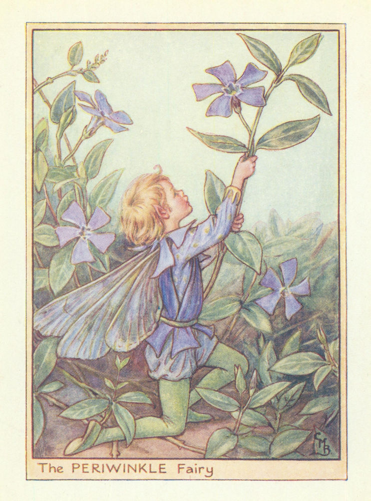 Associate Product Periwinkle Fairy by Cicely Mary Barker. Flower Fairies of the Garden c1940