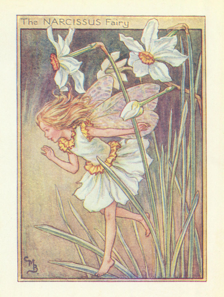 Narcissus Fairy by Cicely Mary Barker. Flower Fairies of the Garden c1940