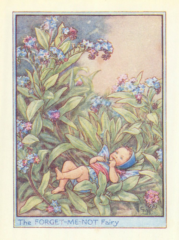 Associate Product Forget-Me-Not Fairy by Cicely Mary Barker. Flower Fairies of the Garden c1940