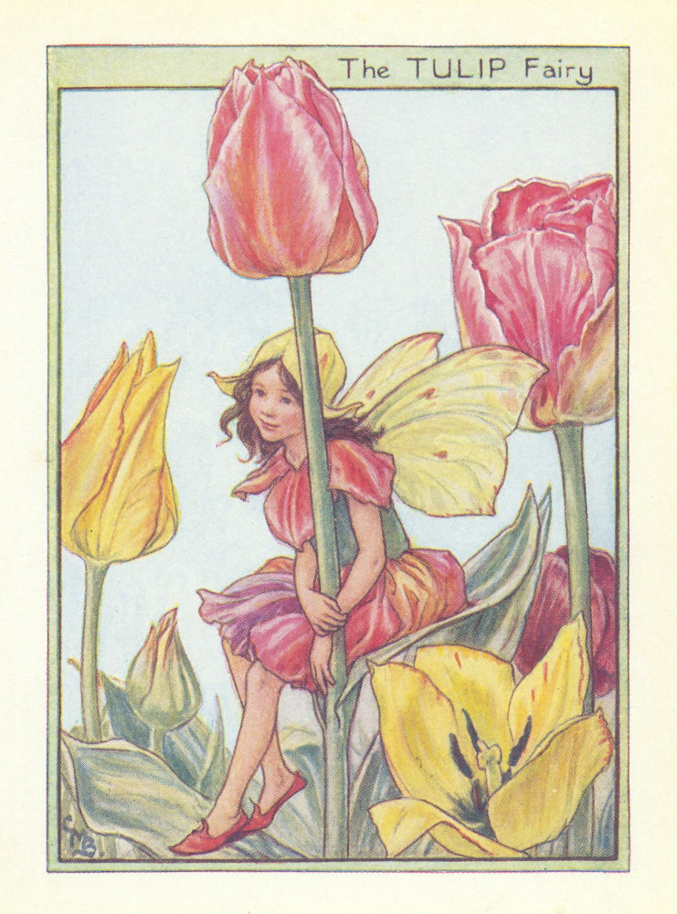 Associate Product Tulip Fairy by Cicely Mary Barker. Flower Fairies of the Garden c1940 print