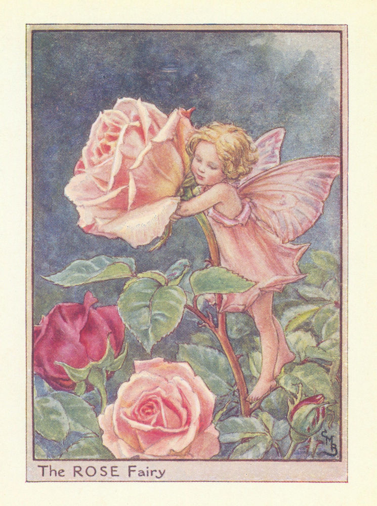 Rose Fairy by Cicely Mary Barker. Flower Fairies of the Garden c1940 old print