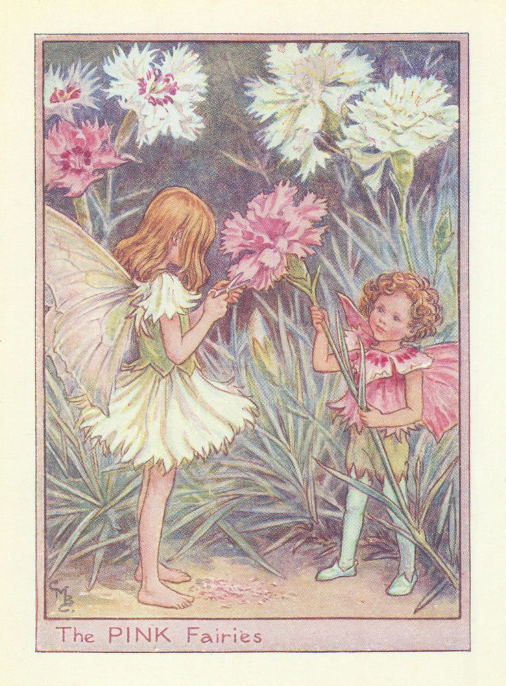 Pink Fairies by Cicely Mary Barker. Flower Fairies of the Garden c1940 print