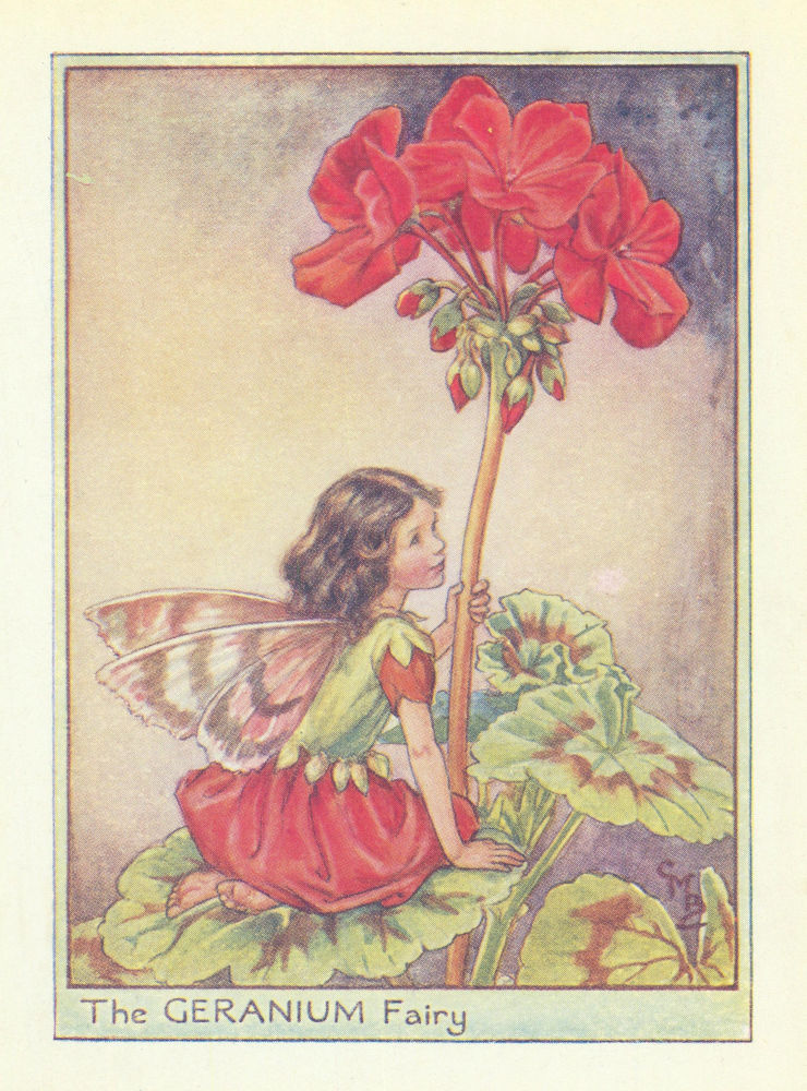Geranium Fairy by Cicely Mary Barker. Flower Fairies of the Garden c1940 print