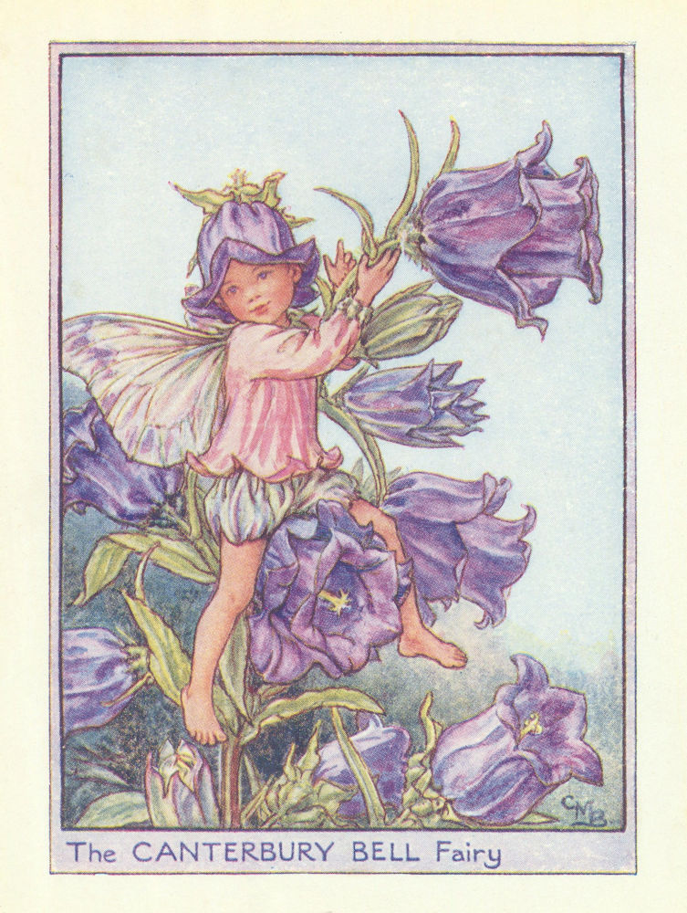 Canterbury Bell Fairy by Cicely Mary Barker. Flower Fairies of the Garden c1940