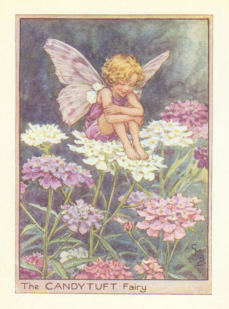 Candytuft Fairy by Cicely Mary Barker. Flower Fairies of the Garden c1940
