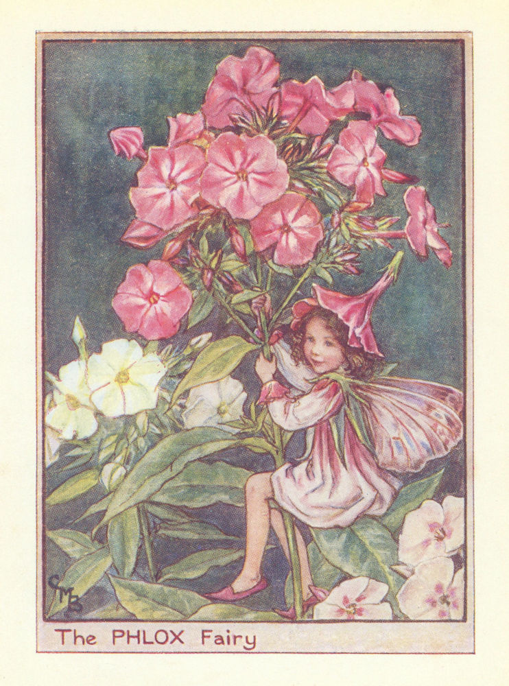 Phlox Fairy by Cicely Mary Barker. Flower Fairies of the Garden c1940 print