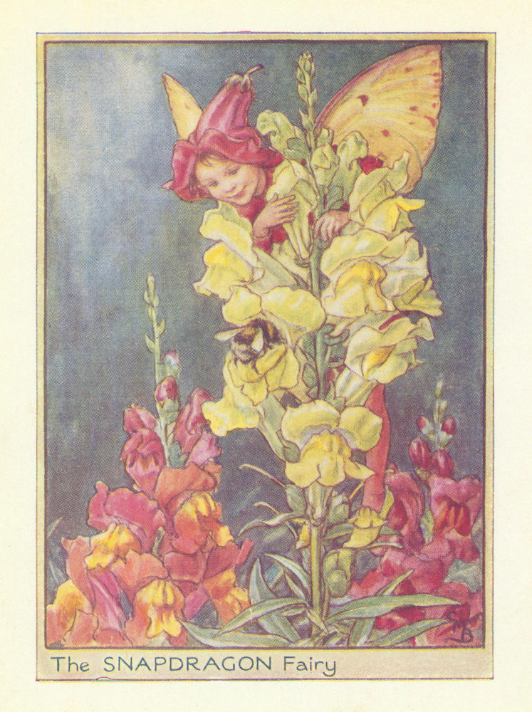 Associate Product Snapdragon Fairy by Cicely Mary Barker. Flower Fairies of the Garden c1940