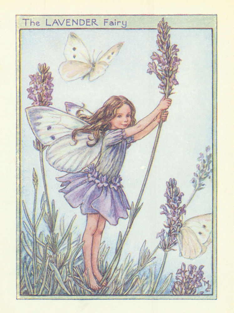 Lavender Fairy by Cicely Mary Barker. Flower Fairies of the Garden c1940 print