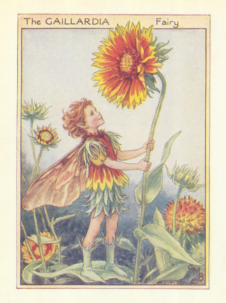 Associate Product Gaillardia Fairy by Cicely Mary Barker. Flower Fairies of the Garden c1940