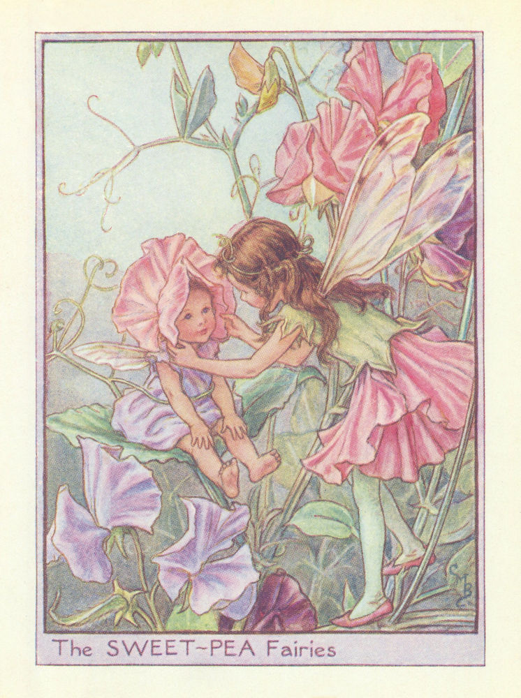 Sweet-Pea Fairies by Cicely Mary Barker. Flower Fairies of the Garden c1940