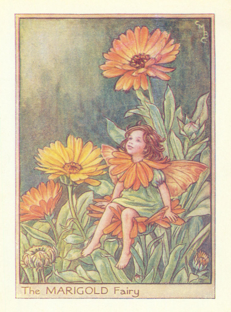 Marigold Fairy by Cicely Mary Barker. Flower Fairies of the Garden c1940 print