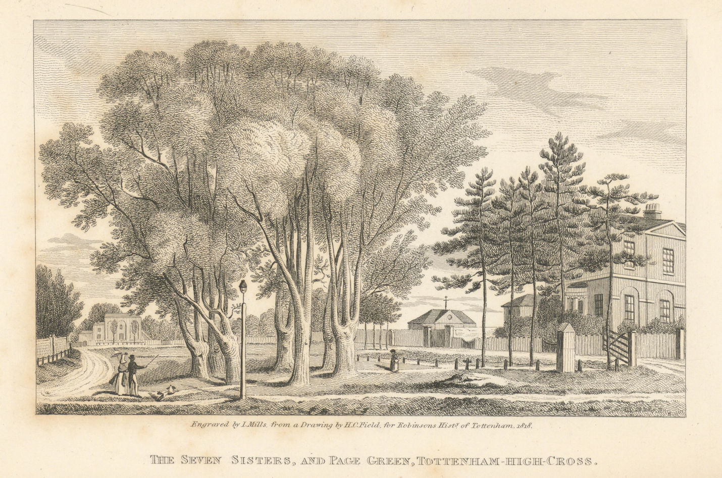 The Seven Sisters elm trees & Page Green Common, Tottenham High Cross 1840
