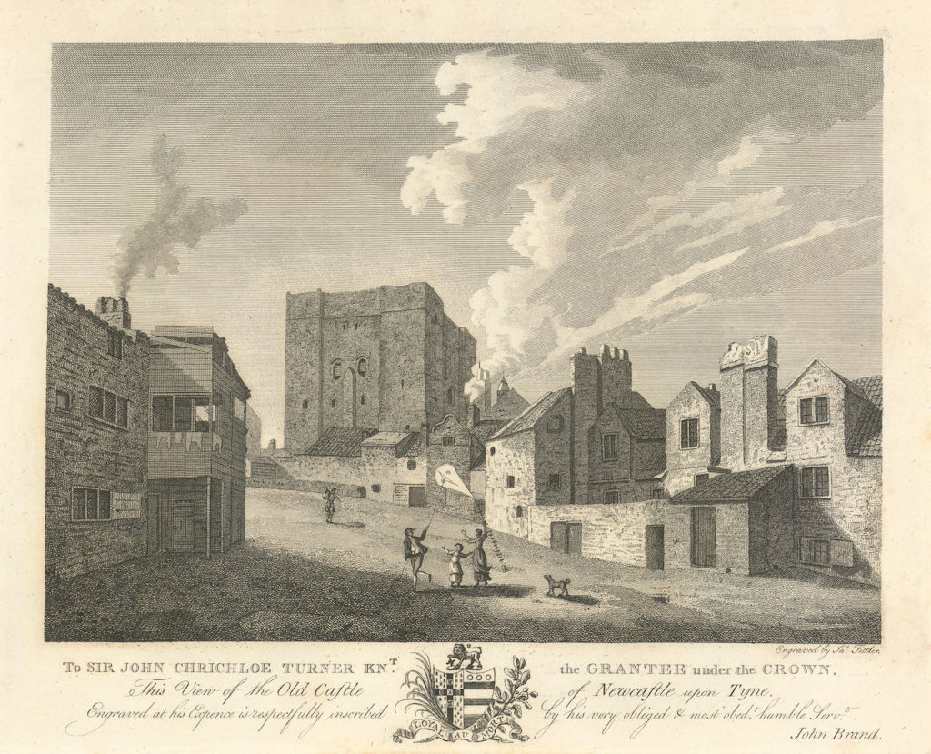 View of the Old Castle of Newcastle upon Tyne 1789 antique print picture