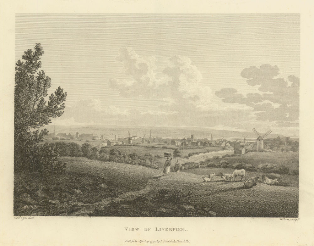 View of Liverpool from Everton. Aikin 1795 old antique vintage print picture