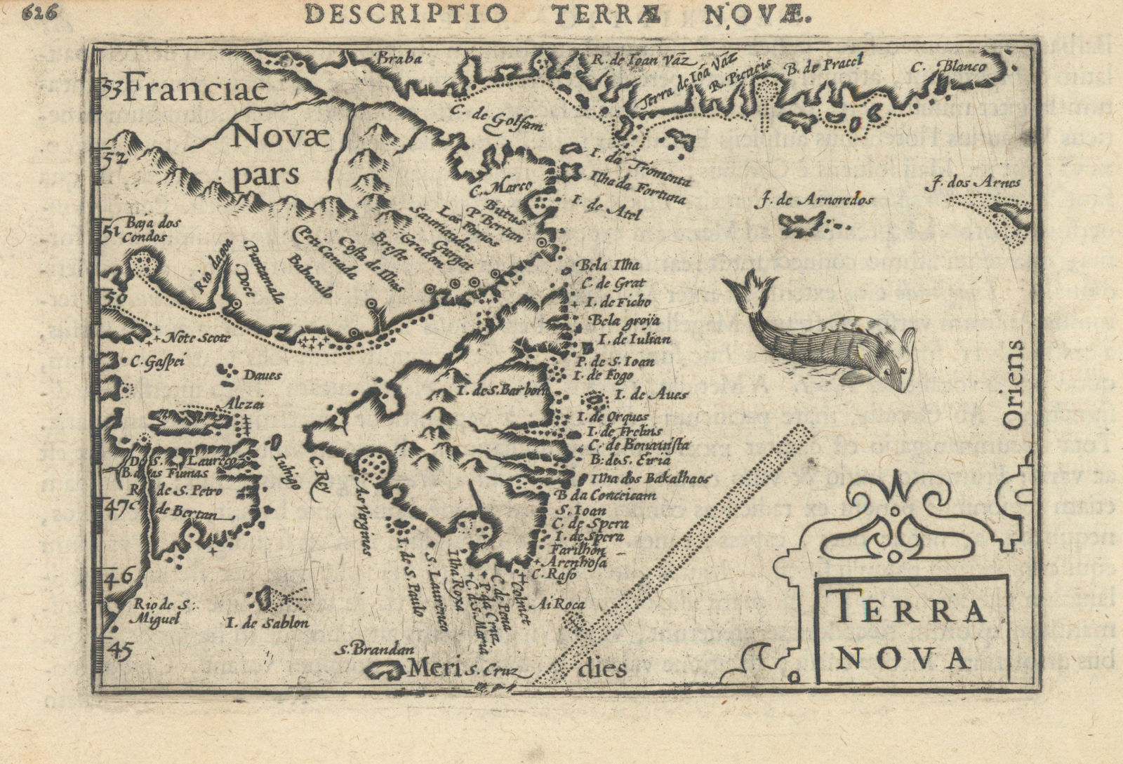 Terrae Novae / Terra Nova by Bertius / Langenes. Newfoundland, Canada 1603 map