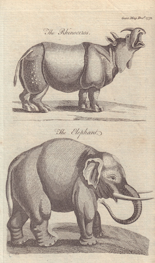 The Rhinoceros. The Elephant. 18th century African mammals print 1771