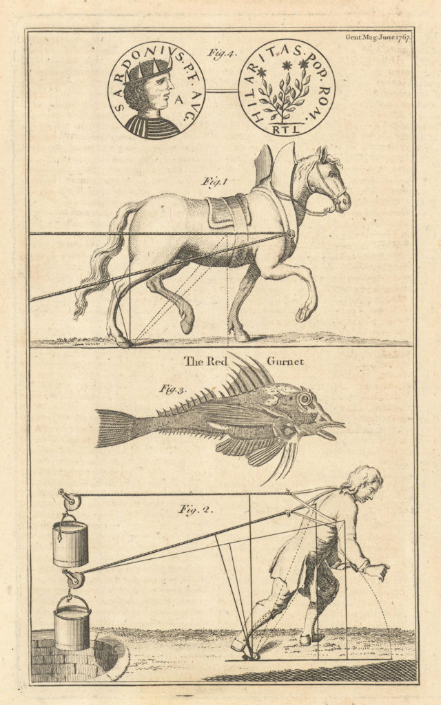 Mechanics of a horse & man dragging. Red Gurnet (Trigla cuculus) 1767 print