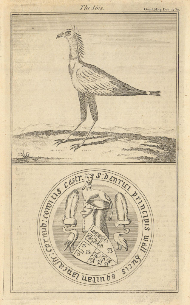 Ibis or Secretary Bird. Vultur serpentarious. Henry Prince of Wales seal 1769