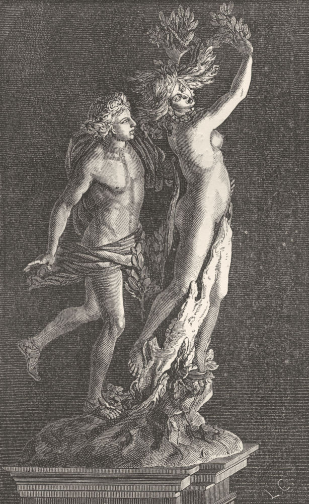 NUDES. Bernini's Daphne 1872 old antique vintage print picture
