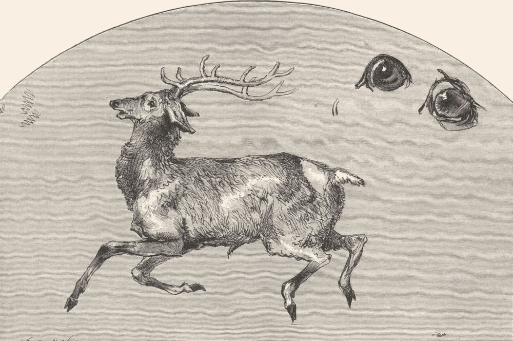 DEER. Tired(Deer)-Landseer c1880 old antique vintage print picture
