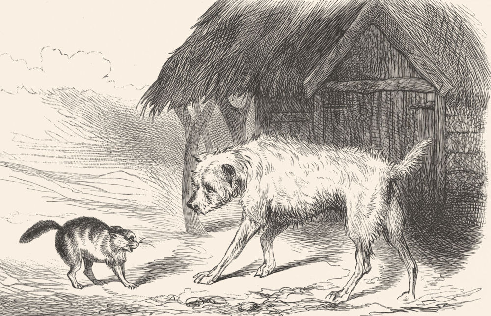 Associate Product DOGS. Impending Quarrel(Dog & Cat)-Landseer c1880 old antique print picture