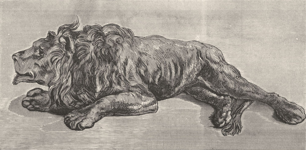 LIONS. Waking up(Lion)-Landseer c1880 old antique vintage print picture