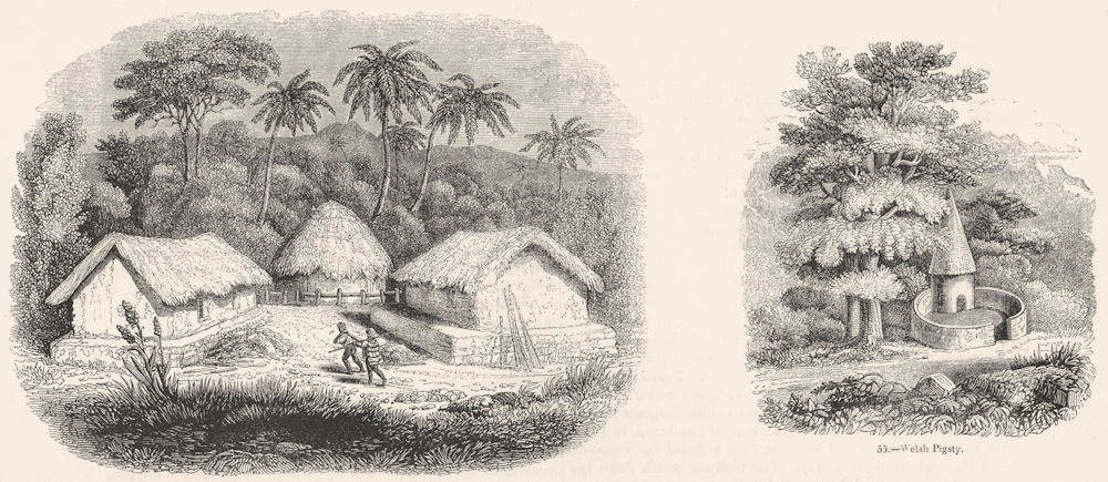 SRI LANKA. Huts in Sinhalese village; Welsh Pigsty 1845 old antique print