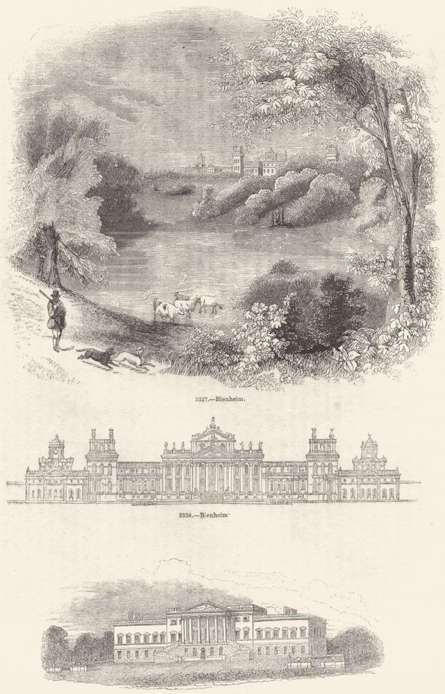 OXON. Blenheim; ; Wanstead House 1845 old antique vintage print picture