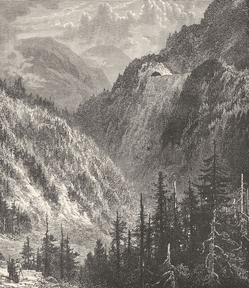 GERMANY. Scene on the Black Forest Railway, near Villingen, Baden 1893 print
