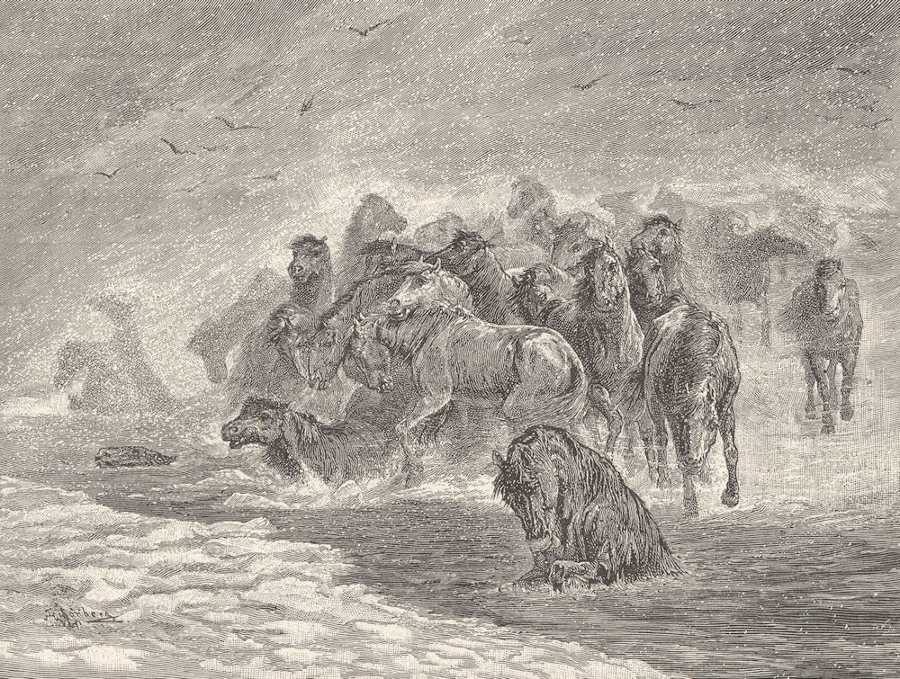 RUSSIA. Winter Storm in Russia - Wild Horses crossing the frozen Don 1893