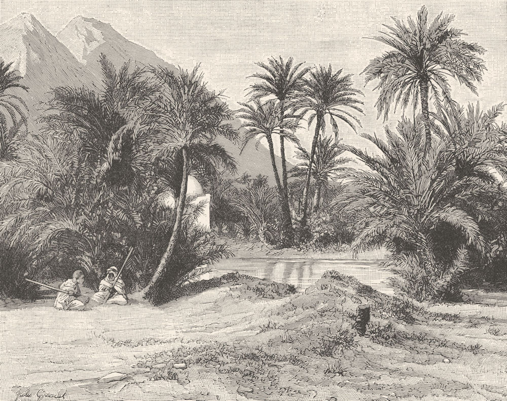 NORTH AFRICA. Oasis in Eastern Sahara 1893 old antique vintage print picture
