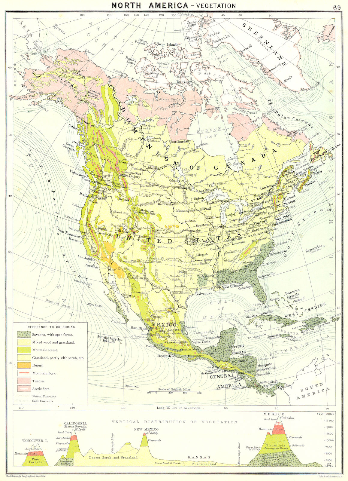 NORTH AMERICA. Vegetation 1900 old antique vintage map plan chart