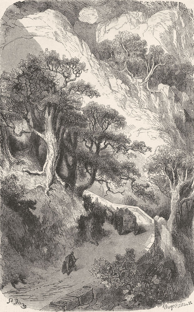 SPAIN. The Col de Perthus; The Cork-Trees 1881 old antique print picture