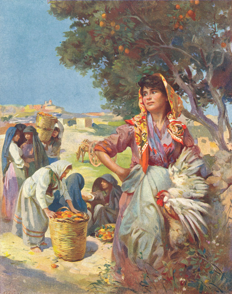 MALTA. Road to Citta Vecchia during Orange picking season (Dingli) 1927 print