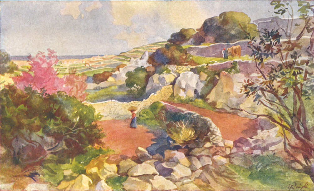 Associate Product MALTA. Typical landscape (Dingli) 1927 old vintage print picture