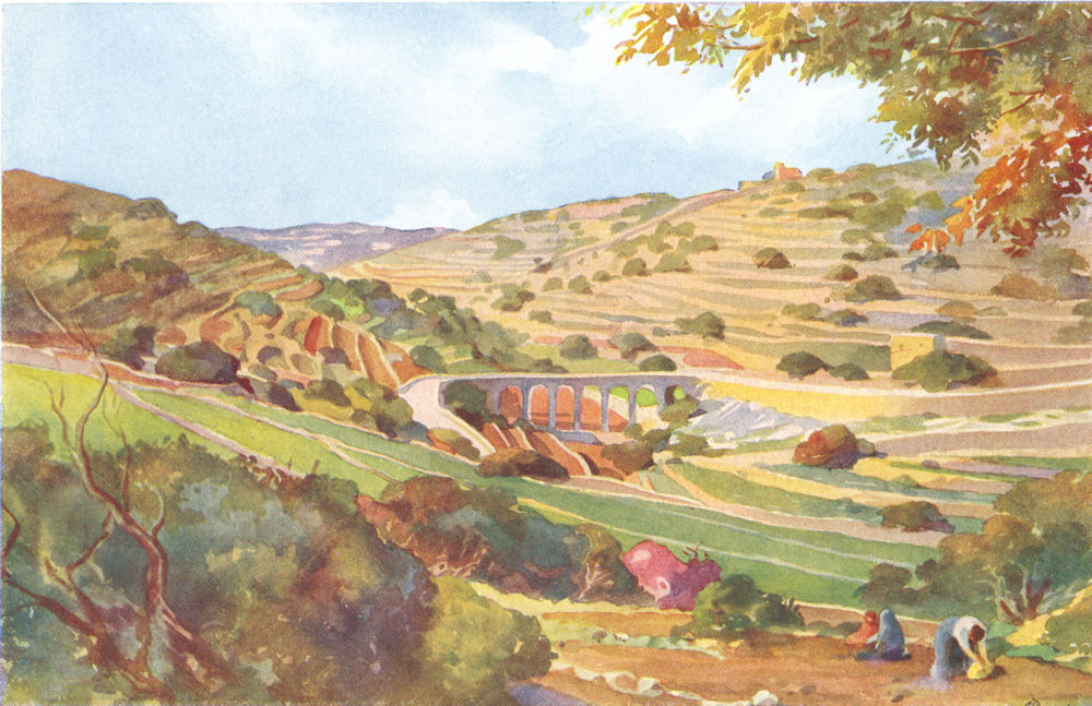 MALTA. Maddalena Valley (Dingli) 1927 old vintage print picture