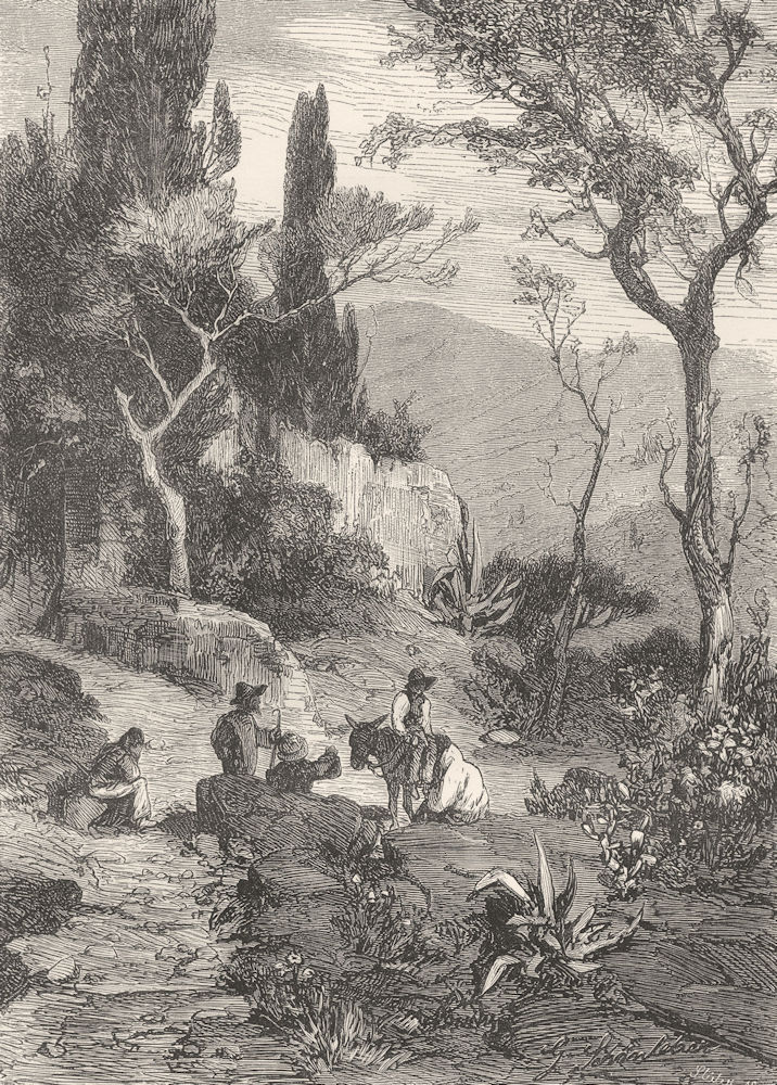 Associate Product ITALY. Riviera di Levante. On the Peninsula near Sestri Levante 1877 old print