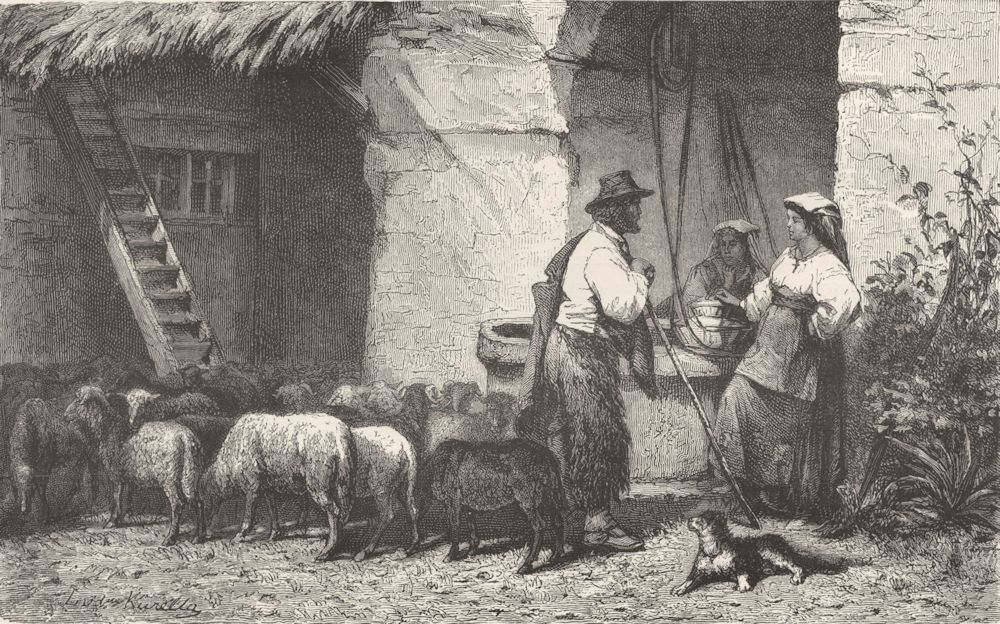 Associate Product ROME. Roman Campagna. The Shepherd's return home 1877 old antique print