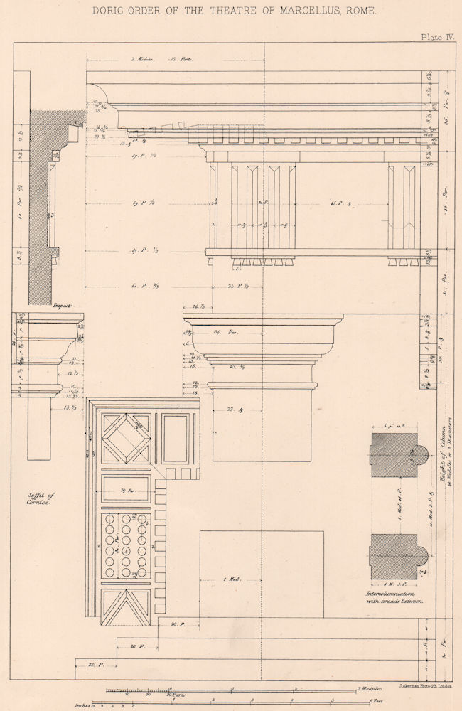 Associate Product CLASSICAL ARCHITECTURE. Doric order of the Theatre of Marcellus Rome 1902