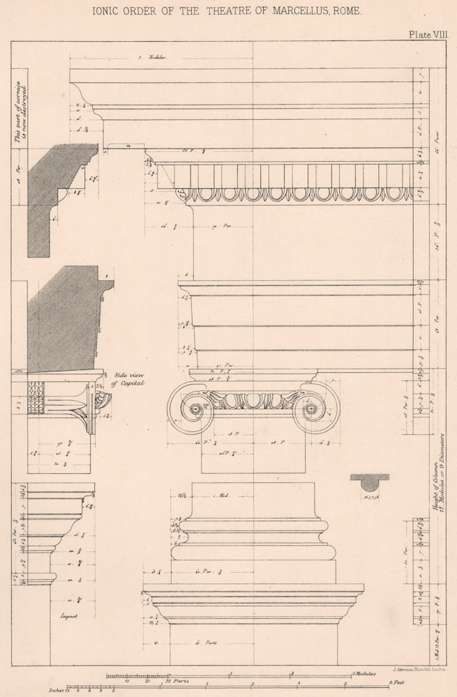 Associate Product CLASSICAL ARCHITECTURE. Ionic order of the theatre of Marcellus, Rome 1902