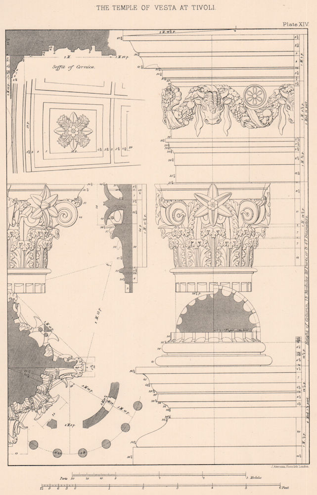 CLASSICAL ARCHITECTURE. The Temple of Vesta at Tivoli 1902 old antique print